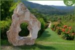 Esemplari da Giardino in Pietra